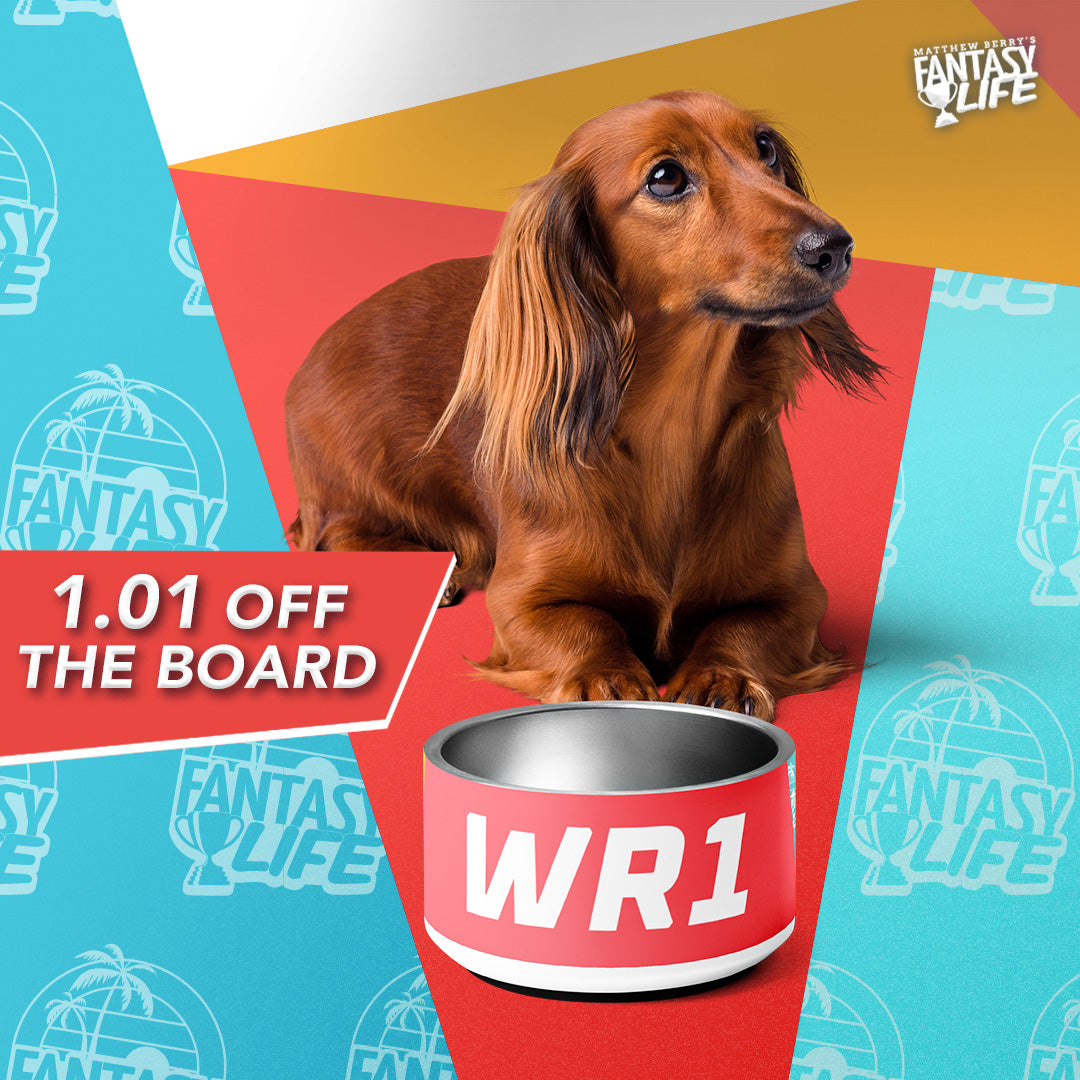 The REAL WR1 Pet Bowl
