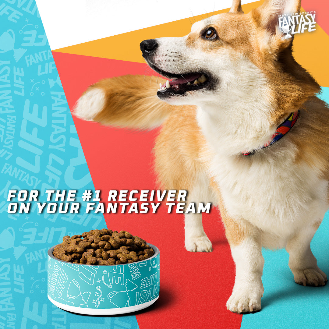 The REAL WR1 Pet Bowl